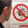 Инфекционная война: клещ как опаснейший враг человека