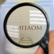 Сибирские вузы стали привлекательнее для призеров олимпиад