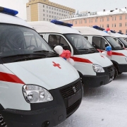 В Омскую область поступили новые машины скорой помощи