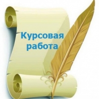 Где напишут курсовую работу в Омске недорого, качественно и в срок?