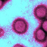 За неделю в Омской области выявили 11 случаев свиного гриппа
