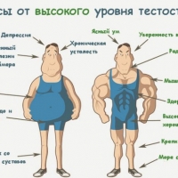 Низкий уровень тестостерона у мужчин приводит к болезням
