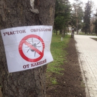 Омичей стали реже кусать клещи