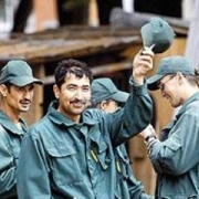 Трудовых мигрантов обяжут покупать полисы