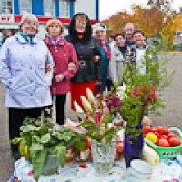 В Крутой горке омичи отпраздновали здоровый образ жизни
