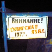 Сибирская язва вышла из-под земли