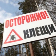 Осторожно – клещи. Осенняя пора – не повод расслабляться