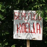 Омский минздрав предупреждает о заражении кладбищ клещами